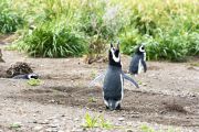 Foto: Tierra del Fuego. Gateway to the Icy Continent